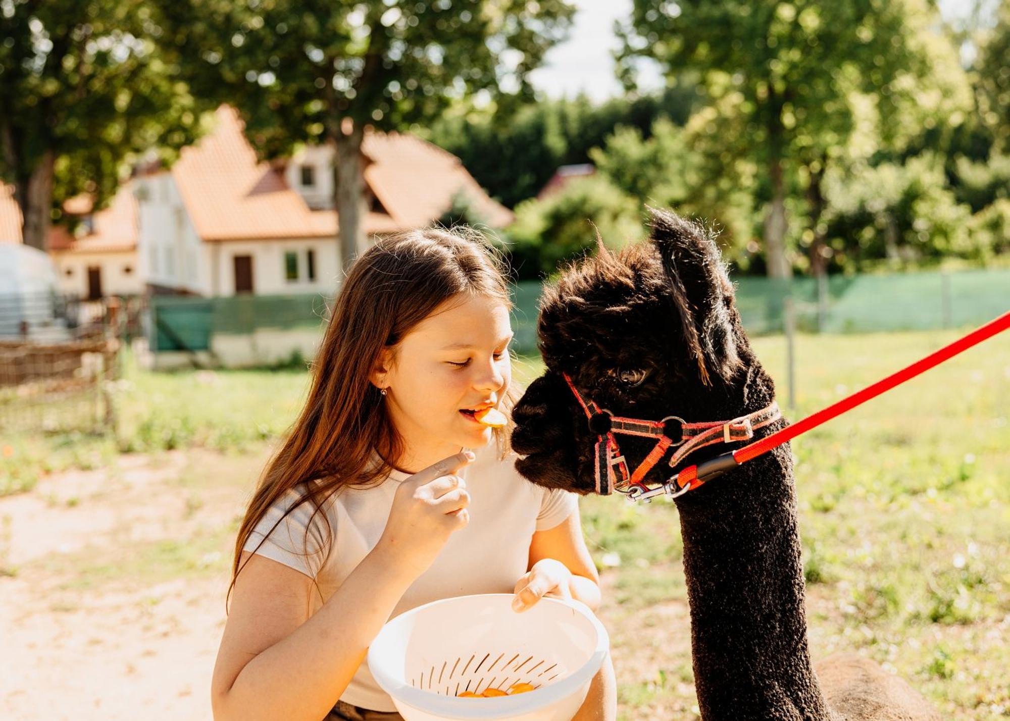 Gospodarstwo Agroturystyczne Z Basenem & Spa I Alpakami Ełk Exterior foto